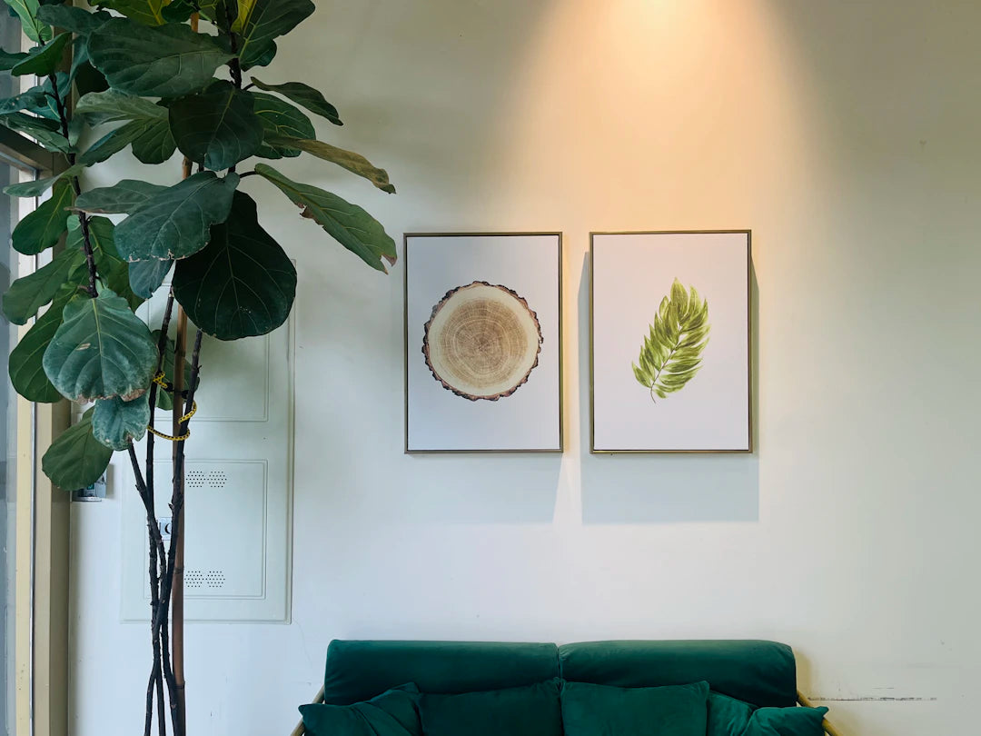 Create a Relaxing Space for Your Massage Chair